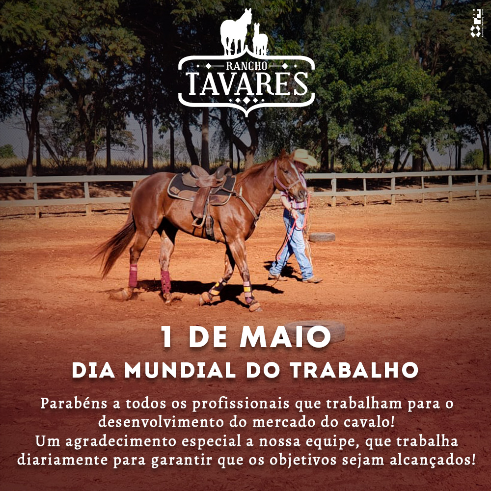 Rancho Tavares - Criação de Cavalos Quarto de Milha